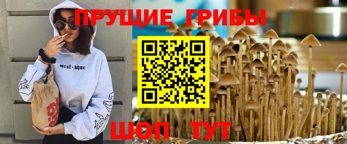 Псилоцибиновые грибы прущие грибы Йошкар-Ола