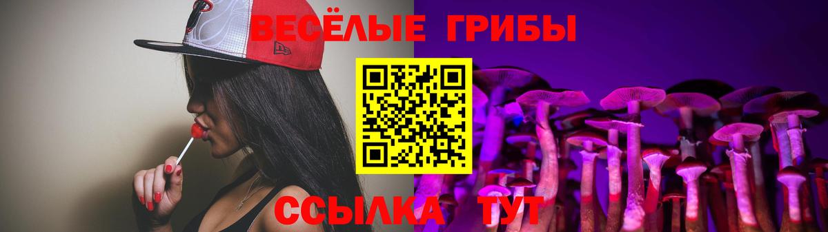 Йошкар-Ола  Псилоцибиновые грибы Cubensis  Вход с VPN 